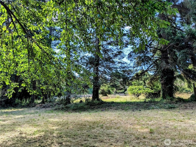 395 Marine Dr, Point Roberts, WA 98281
