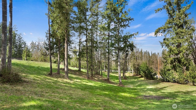 29703 SE 375th St, Enumclaw, WA 98022 - photo 38