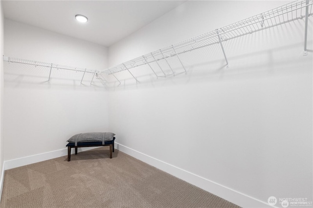 7164 91st St E, Puyallup, WA 98371 - walk in closet featuring carpet