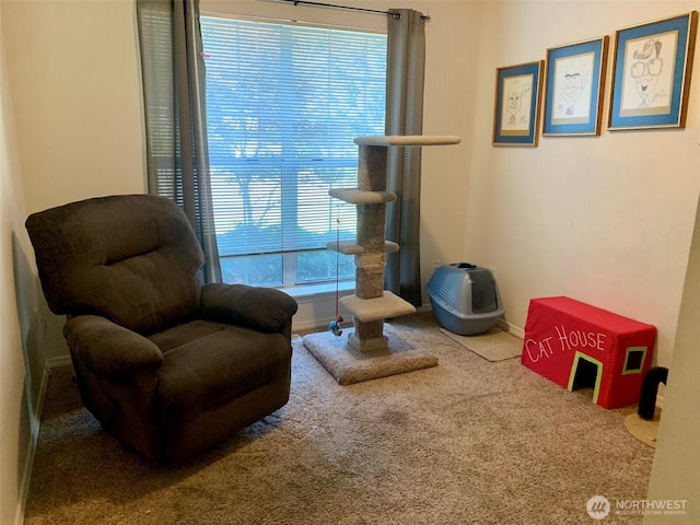 6214 145th St SE, Everett, WA 98208 - living area with carpet floors and baseboards