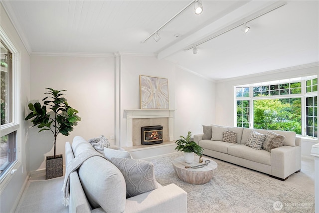 5265 140th Ave NE, Bellevue, WA 98005 - living room featuring rail lighting, carpet flooring, a tiled fireplace, crown molding, and lofted ceiling