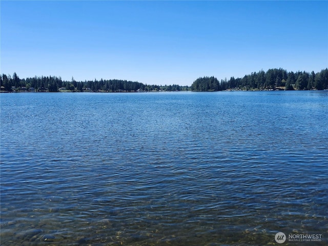 102 E Gibler Ln, Shelton, WA 98584 - photo 32