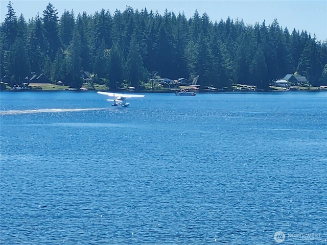 102 E Gibler Ln, Shelton, WA 98584 - photo 33