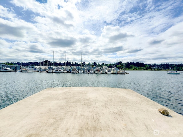501 Columbia St NW Unit H, Olympia, WA 98501 - photo 22