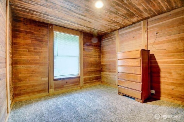 45401 Nellie Ln, Concrete, WA 98237 - unfurnished room with wooden walls, wood ceiling, carpet, and a relaxing sauna