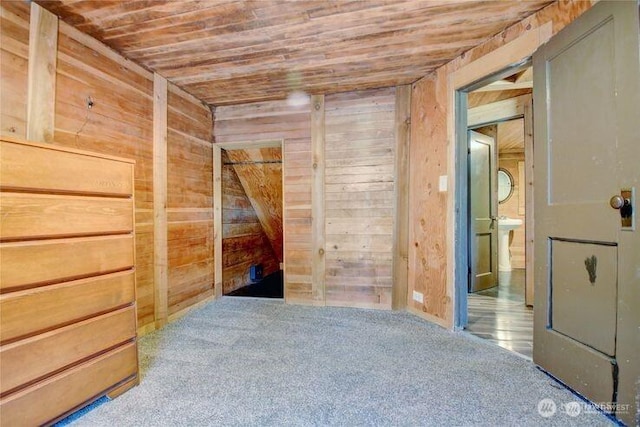 45401 Nellie Ln, Concrete, WA 98237 - spare room featuring wood ceiling, wooden walls, and carpet