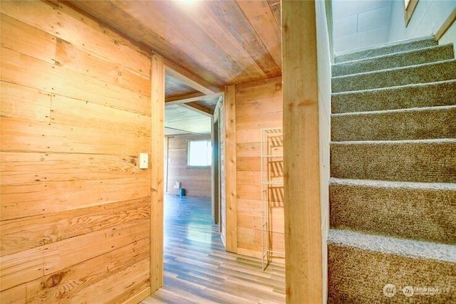 45401 Nellie Ln, Concrete, WA 98237 - staircase featuring wood walls, wood finished floors, and wooden ceiling