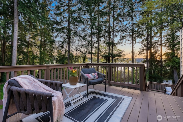19221 SE 25th St, Sammamish, WA 98075 - photo 32