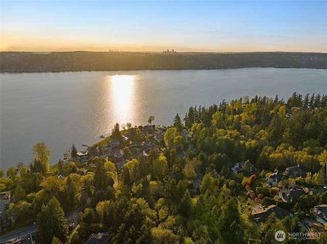 19221 SE 25th St, Sammamish, WA 98075 - photo 35