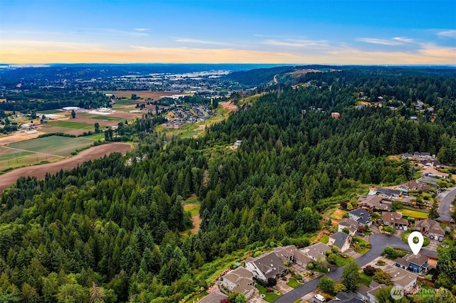 9203 180th Ave E, Bonney Lake, WA 98391 - photo 36