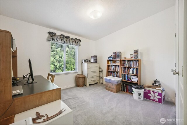 2247 43rd Ln SW, Tumwater, WA 98512 - photo 22