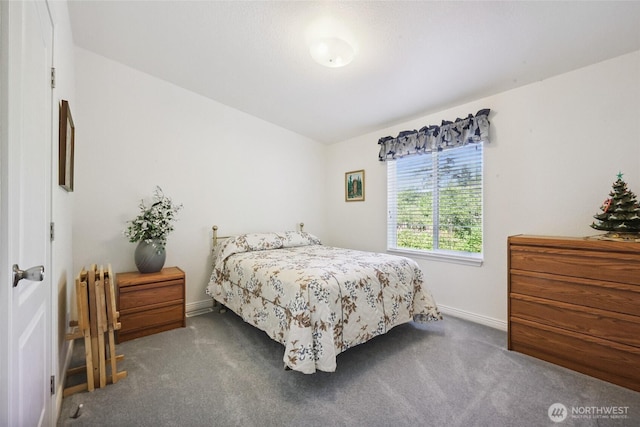 2247 43rd Ln SW, Tumwater, WA 98512 - photo 20