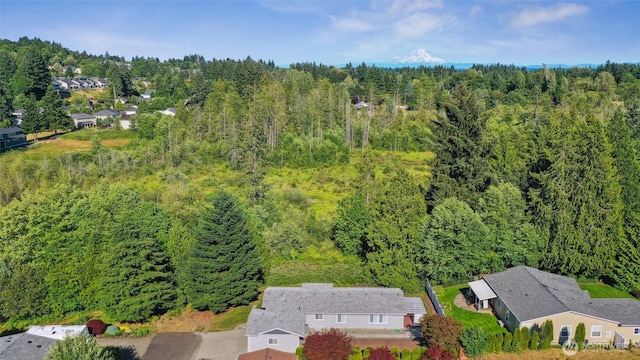 2247 43rd Ln SW, Tumwater, WA 98512 - photo 35