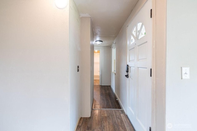 3800 Sleater Kinny Rd NE Unit 13, Olympia, WA 98506 - corridor featuring dark wood-style floors