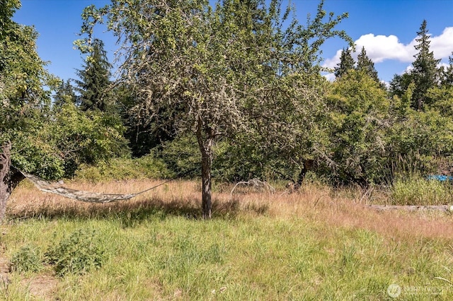 2430 Goss Lake Rd, Langley, WA 98260 - photo 28