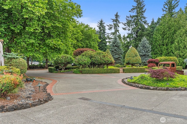 18602 Paulson St SW, Rochester, WA 98579 - photo 6