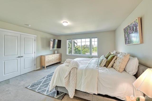 3606 Tree Farm Ct, Bellingham, WA 98226 - view of carpeted bedroom