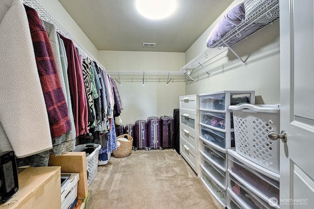 3606 Tree Farm Ct, Bellingham, WA 98226 - walk in closet with carpet