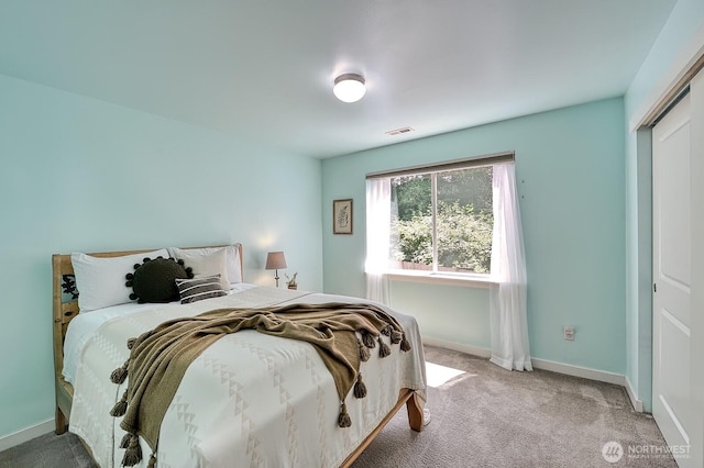 3606 Tree Farm Ct, Bellingham, WA 98226 - bedroom featuring carpet and a closet