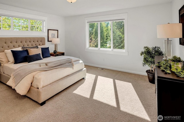 412 15th Ave, Kirkland, WA 98033 - bedroom featuring multiple windows and light colored carpet