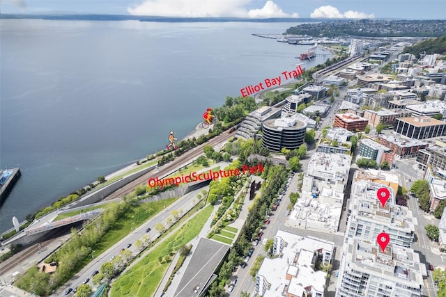 2929 1st Ave Unit 721, Seattle, WA 98121 - view of urban area with a nearby body of water