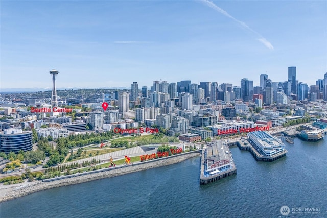2929 1st Ave Unit 721, Seattle, WA 98121 - skyline view with a nearby body of water
