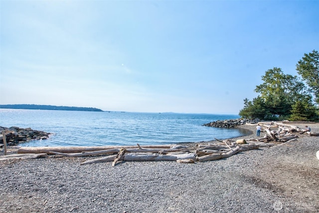 2929 1st Ave Unit 721, Seattle, WA 98121 - water view