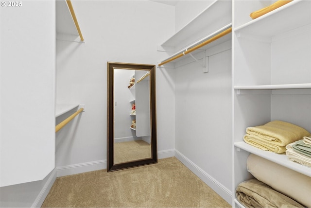 126 28th St NW, Long Beach, WA 98631 - walk in closet featuring carpet flooring