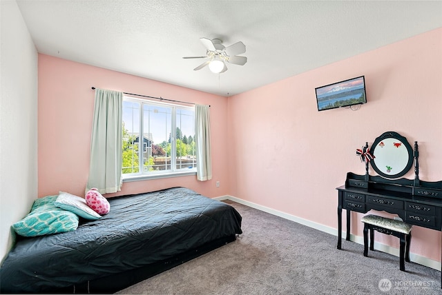 15037 105th Ave SE, Yelm, WA 98597 - photo 26