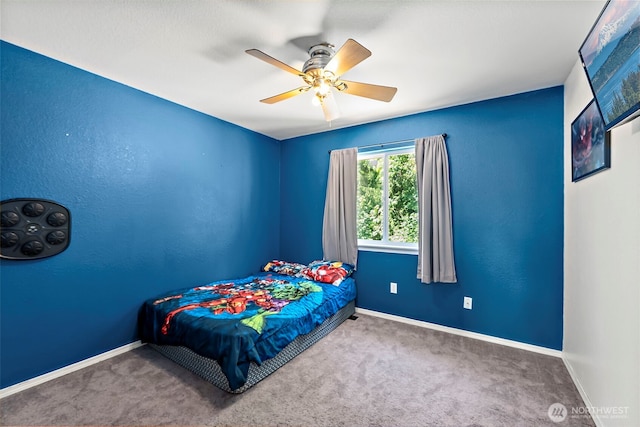 15037 105th Ave SE, Yelm, WA 98597 - photo 28