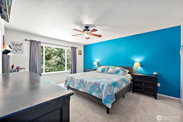 15037 105th Ave SE, Yelm, WA 98597 - photo 23