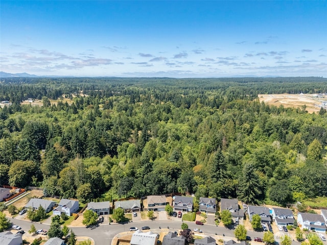 15037 105th Ave SE, Yelm, WA 98597 - photo 39