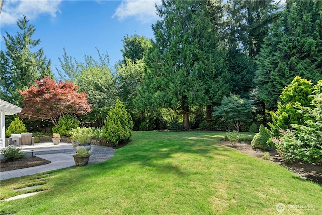 26007 NE 27th Dr, Redmond, WA 98053 - photo 27