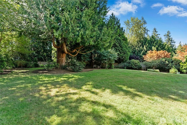 26007 NE 27th Dr, Redmond, WA 98053 - photo 28