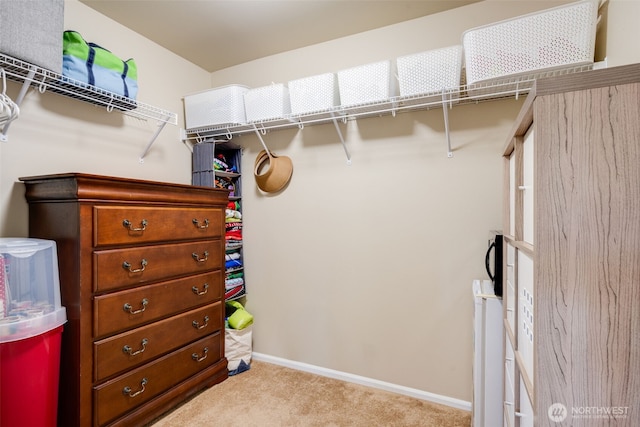 7305 183rd St E, Puyallup, WA 98375 - photo 20