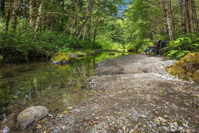 24809 Clear Creek Rd, Darrington, WA 98241 - photo 5