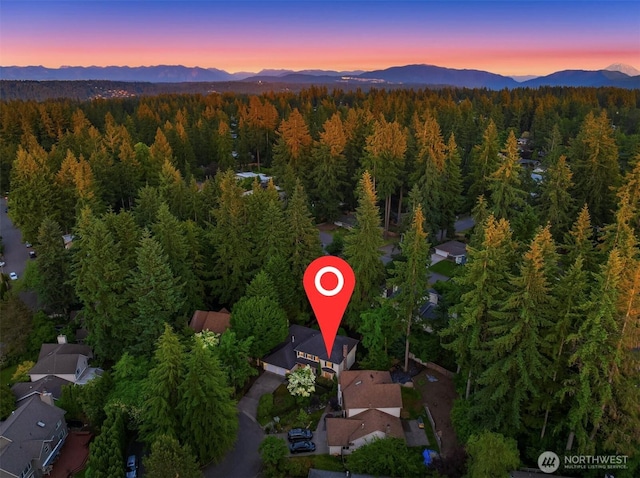 2892 160th Pl NE, Bellevue, WA 98008 - photo 39