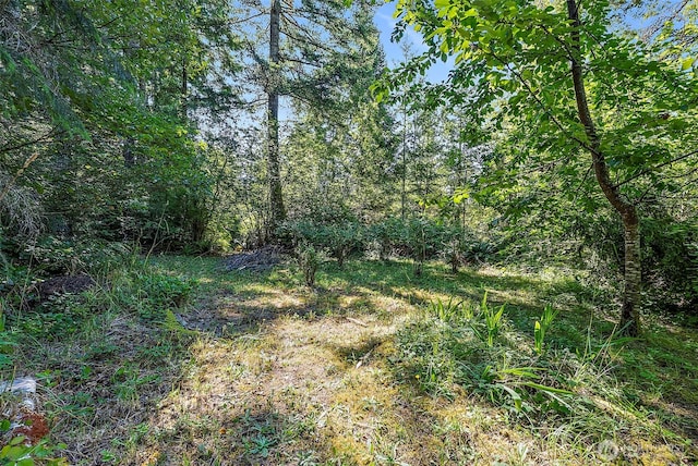 1580 SW Hollyhock Ln, Port Orchard, WA 98367 - photo 40