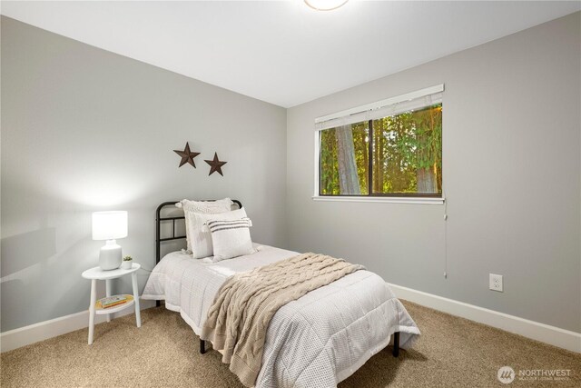 1513 220th Pl NE, Sammamish, WA 98074 - photo 20