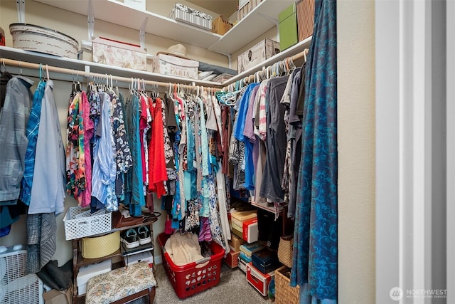 1918 Tundra Loop, Mount Vernon, WA 98273 - spacious closet with carpet