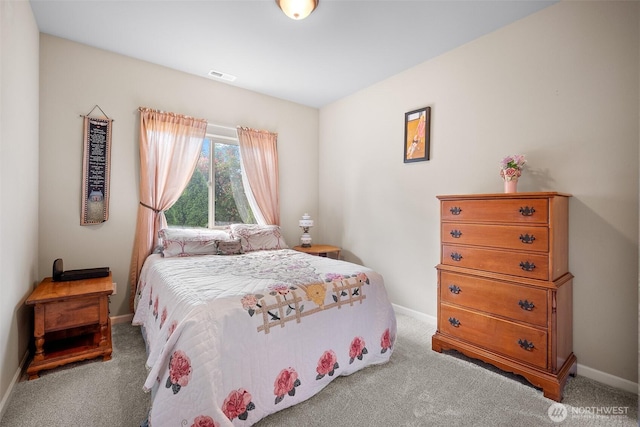 1918 Tundra Loop, Mount Vernon, WA 98273 - bedroom featuring carpet floors and baseboards