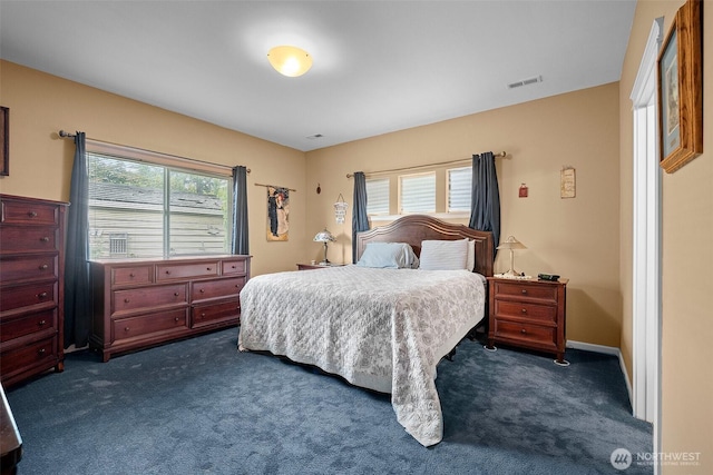 1918 Tundra Loop, Mount Vernon, WA 98273 - bedroom with dark colored carpet