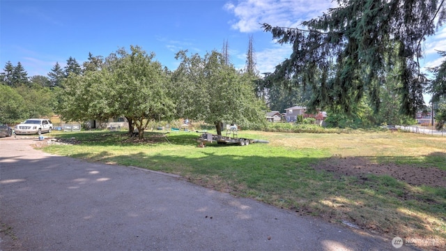 32626 46th Pl S, Auburn, WA 98001 - view of green lawn