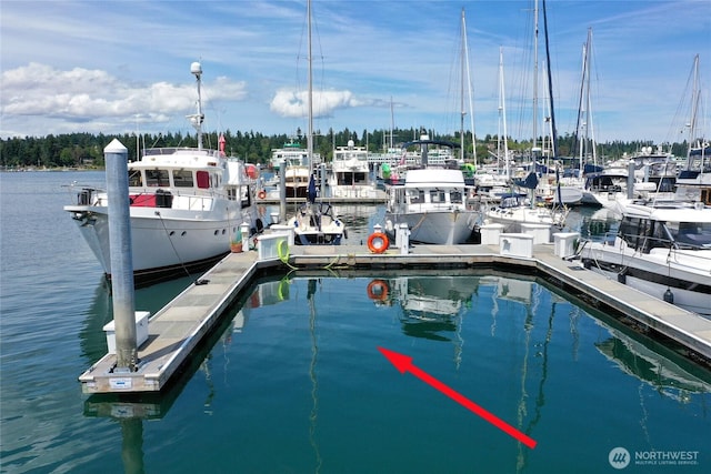 5834 Ward Ave NE Unit B-25, Bainbridge Island, WA 98110 - photo 13