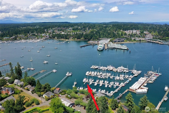 5834 Ward Ave NE Unit B-25, Bainbridge Island, WA 98110 - photo 16
