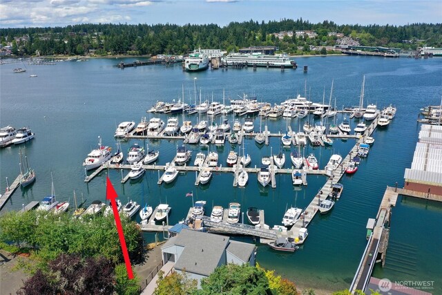 5834 Ward Ave NE Unit B-25, Bainbridge Island, WA 98110 - photo 17