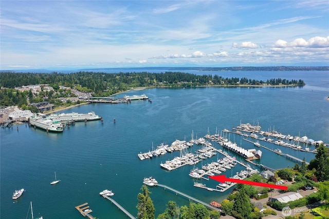 5834 Ward Ave NE Unit B-25, Bainbridge Island, WA 98110 - photo 18