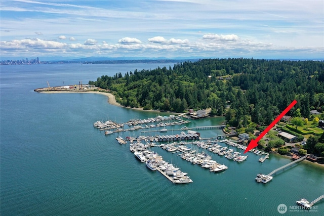 5834 Ward Ave NE Unit B-25, Bainbridge Island, WA 98110 - photo 19