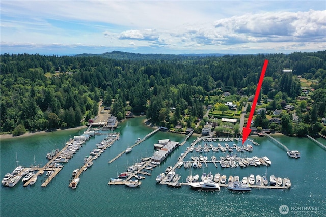5834 Ward Ave NE Unit B-25, Bainbridge Island, WA 98110 - photo 20