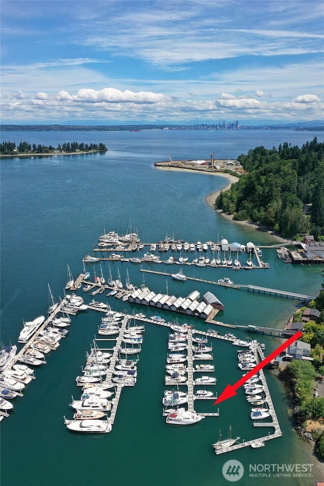 5834 Ward Ave NE Unit B-25, Bainbridge Island, WA 98110 - photo 23